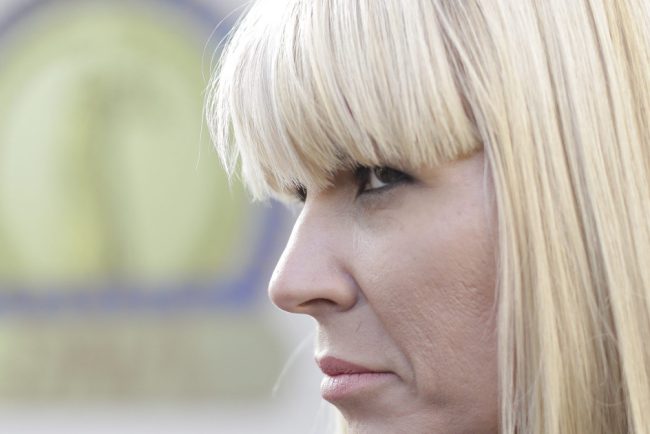 Elena Udrea ar putea iesi mai devreme din inchisoare