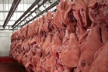 Activitate suspendata la un abator din Franta dupa un videoclip cu animale maltezate