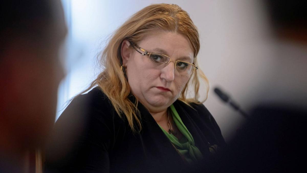 Sosoaca a facut spectacol la vot sa trecut pe buletin cu Vlad Tepes si Stefan cel Mare votand in afara cabinei