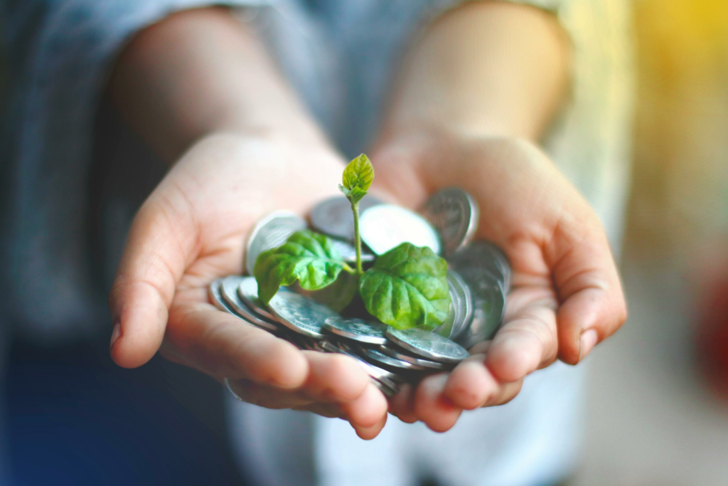 Polonia schimba regulile pentru a sprijini proiectele ecologice