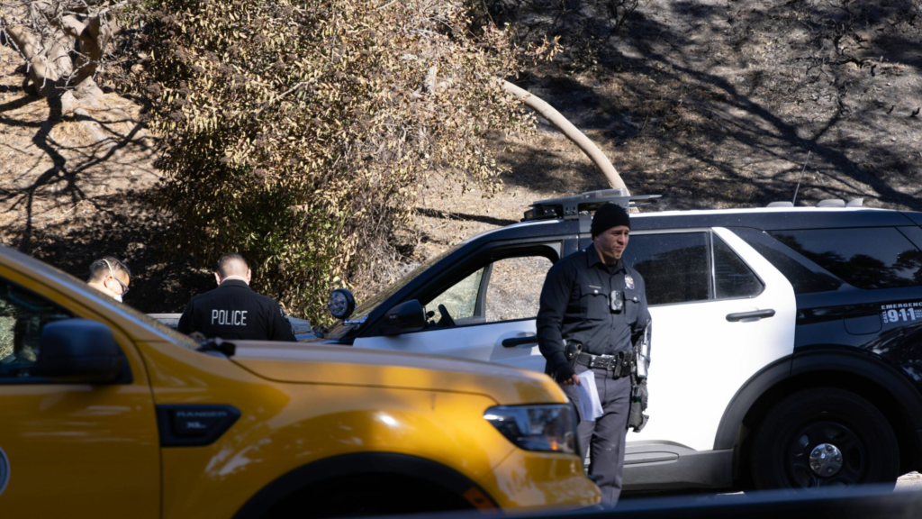 Peste 20 de raniti intr un accident in LA