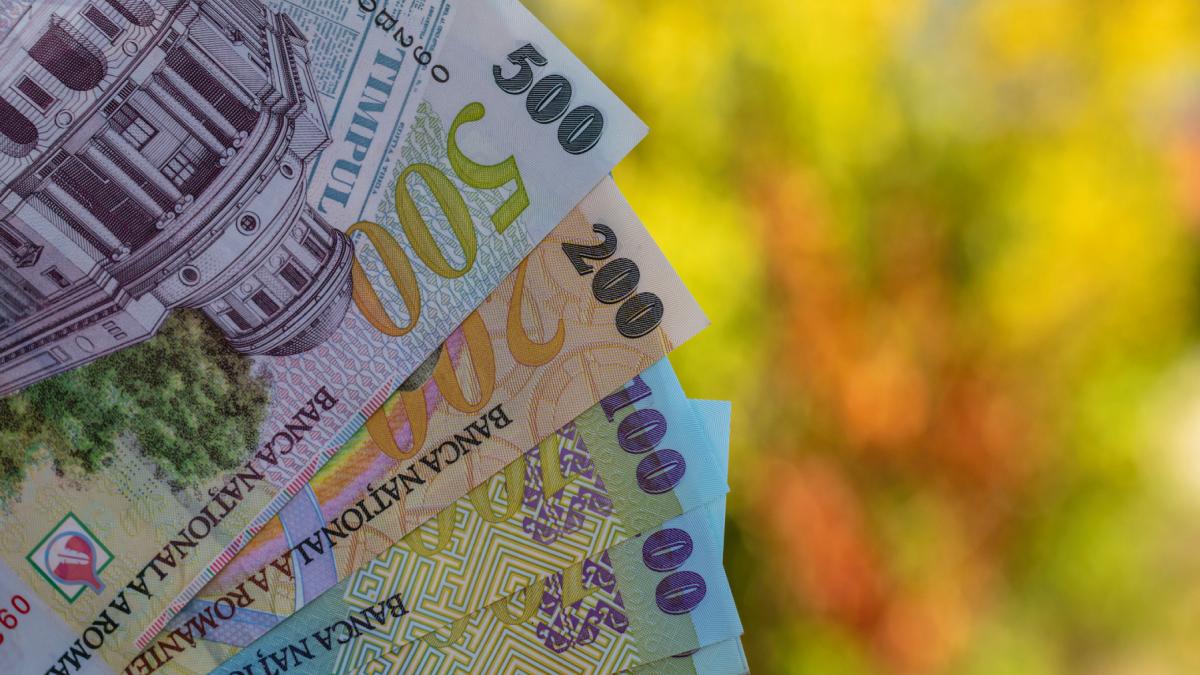 burduja despre directorul antifraudei cu venituri mari