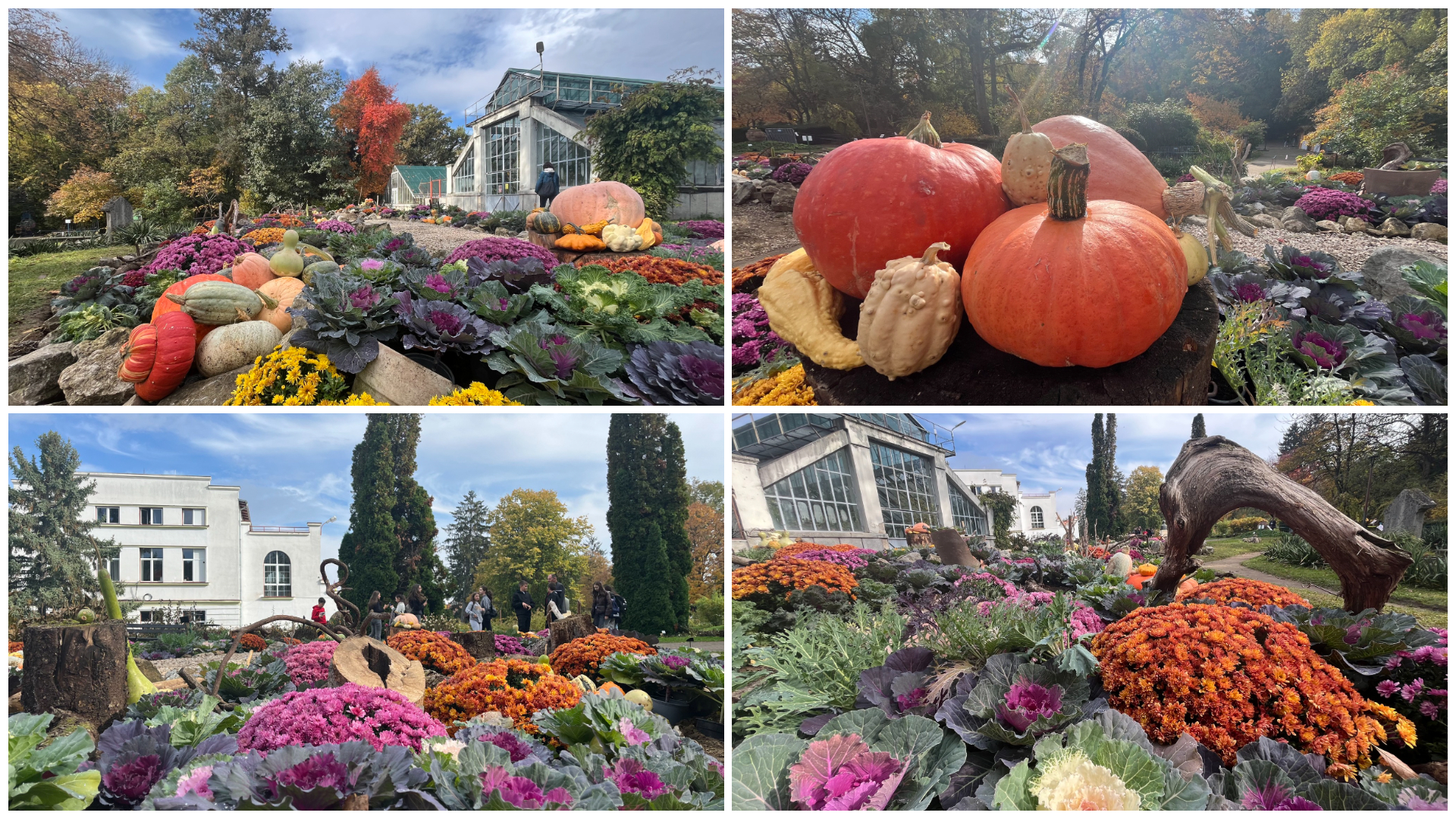 Gradina Botonica Cluj Napoca te asteapta cu peisaje superbe