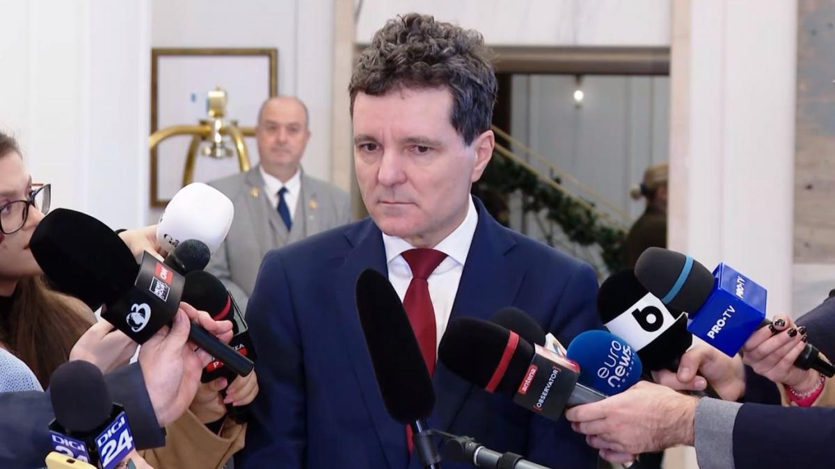 Nicushor Dan anunta publicarea raportului despre alegeri