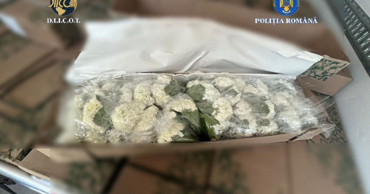 Peste 250 kg de cocaina din Columbia ascunsa in flori
