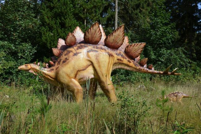 Sute de urme de dinozaur descoperite in Italia