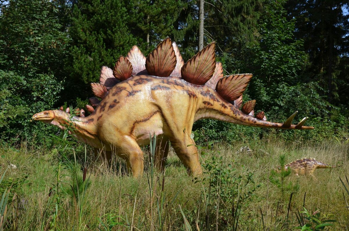 Sute de urme de dinozaur descoperite in Italia