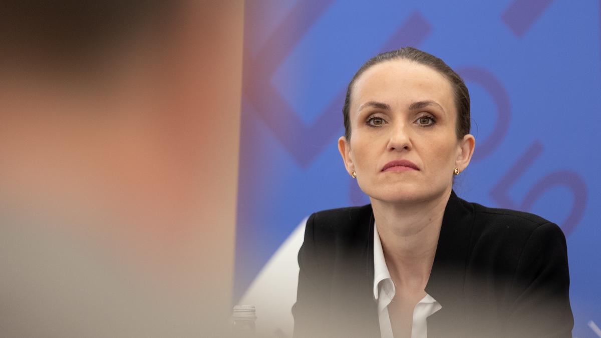 Mesajul Oanei Toiu dupa preluarea presedintiei de catre Cipru