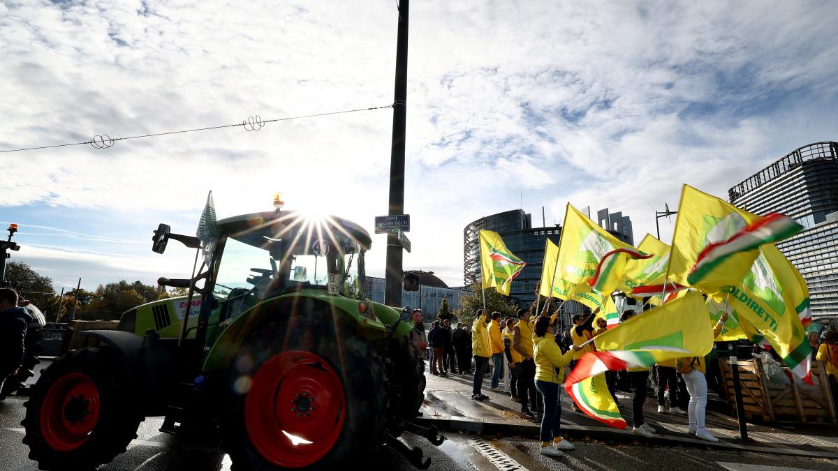 Ministrul Agriculturii cere garantii suplimentare UE Mercosur