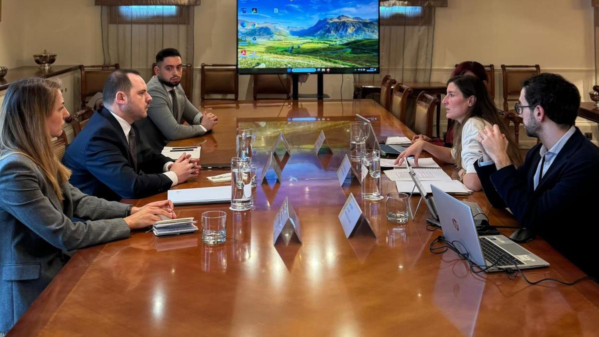 Rogobete discutii la Madrid despre reformele in sanatate mintala