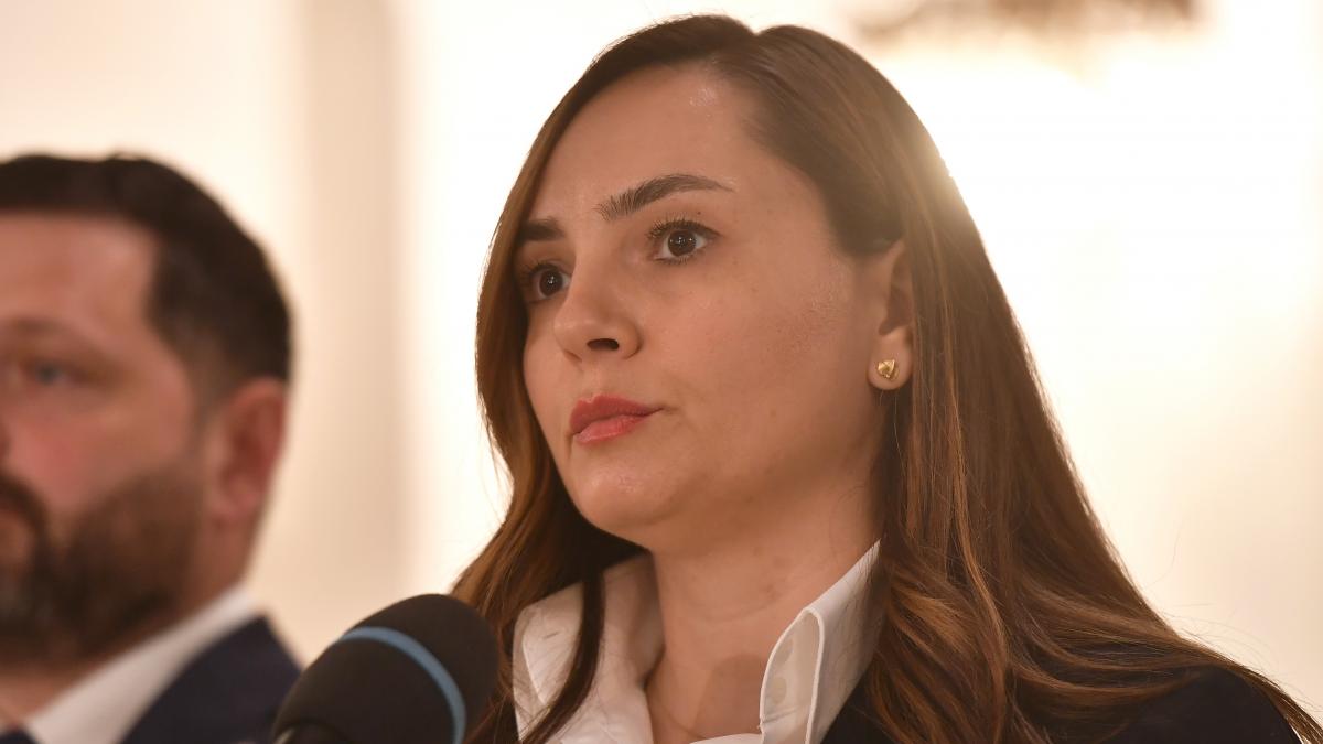 scandal in pot dupa ce deputatii ionescu au fost exclusi tribunalul afirma ca excluderea este