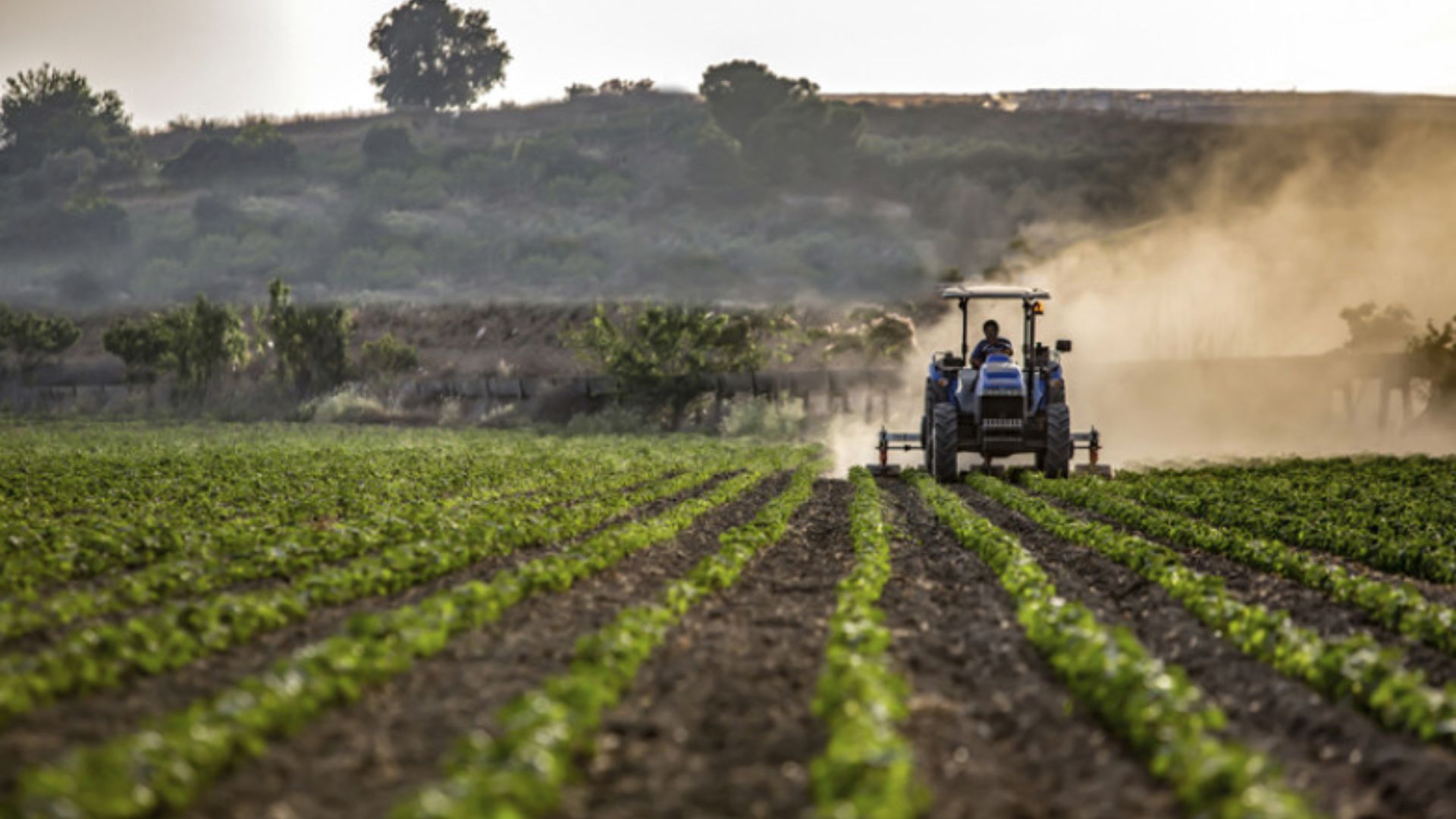 Anunt important pentru fermierii din Apahida Cluj Intalnire la primarie despre obtinerea subventiilor agricole in 2026