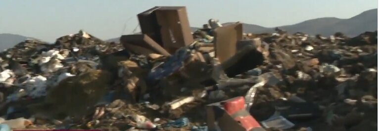 Autoritatile bulgare investigateaza un posibil import ilegal de animale din Romania si descopera un abator ilegal in zona Ihtiman