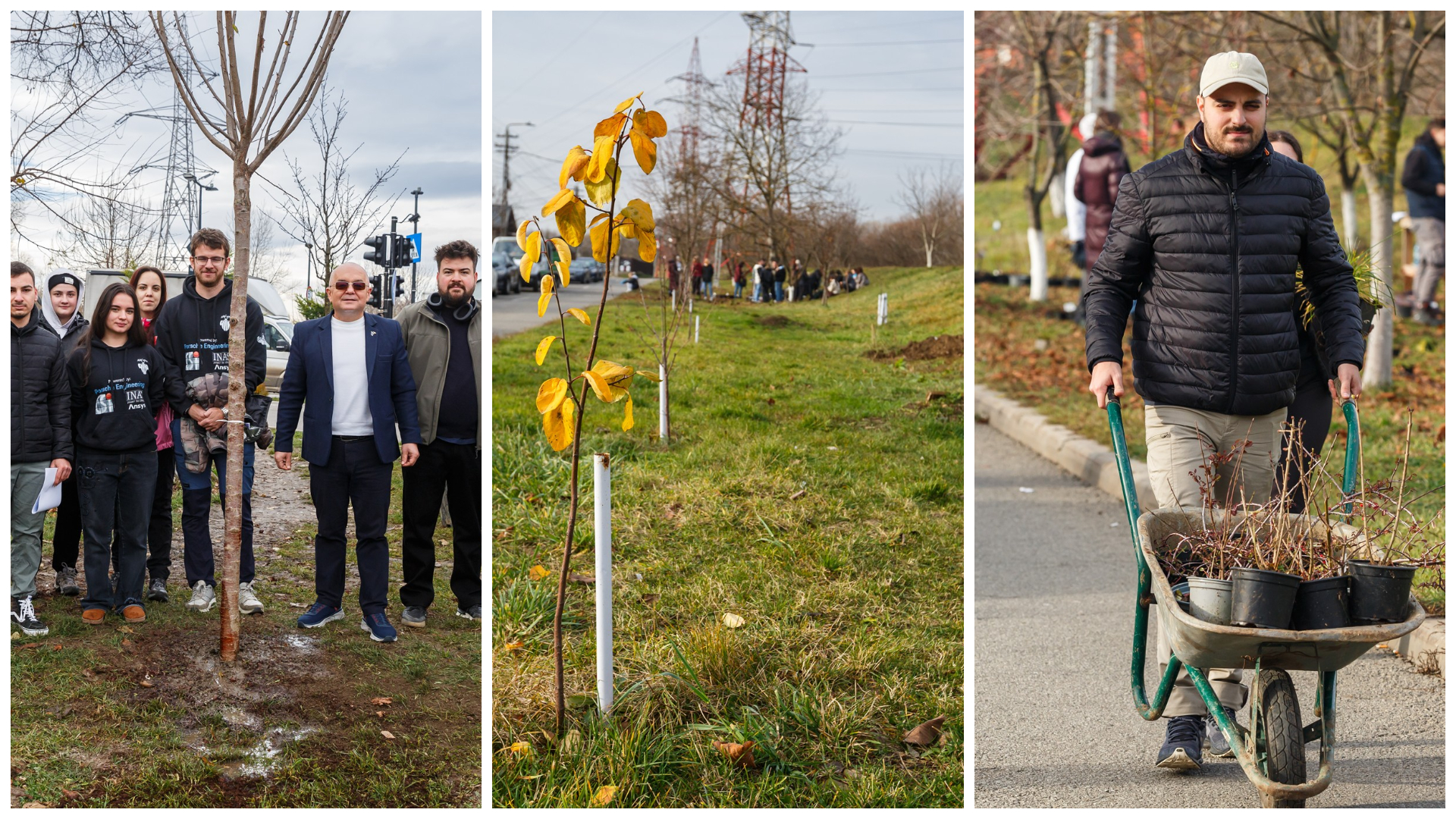 Cluj Napoca se imbogateste cu plante Emil Boc invita comunitatea la actiuni de plantare in cartierele Iris si Someseni