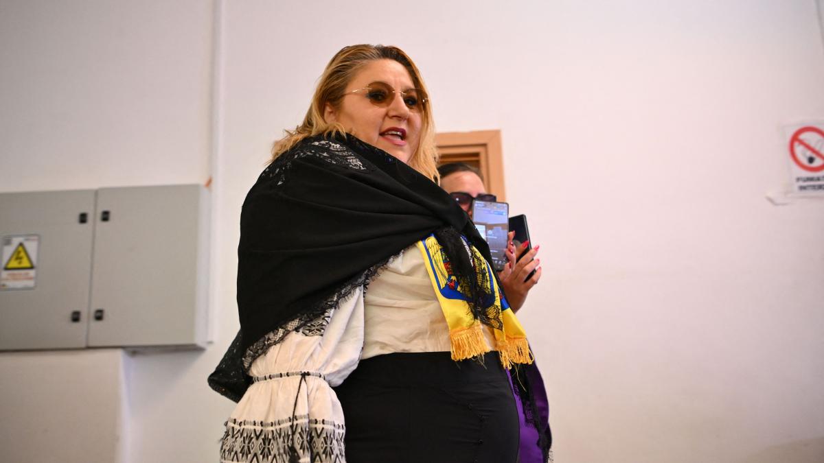 Diana Sosoiaca afirma ca 5 tari i au propus azil politic Pe mine nu ma indeparteaza