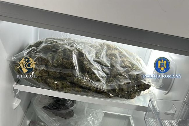 Kilograme de canabis confiscate de la cinci tineri din Valcea Unul dintre ei este acuzat si de proxenetism