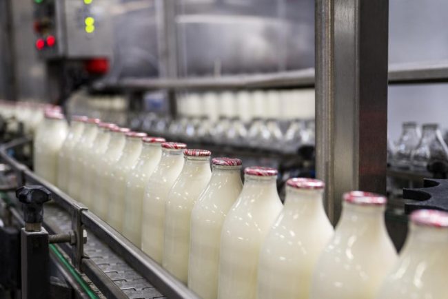 Laptele romanesc dispare de pe piata fermierii vand cu pierdere iar importurile coplesesc productia