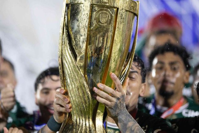 Palmeiras a castigat trofeul Echipa a obtinut al 27 lea sau titlu in Campionatul Paulista