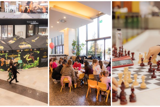 Weekend plin de distractie si creativitate la Iulius Mall Cluj Copii joaca sah creeaza buchete de flori si descopera tarantule si reptile vii