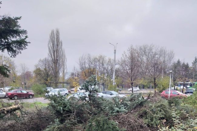 ciocanul pentru marcarea arborilor a fost inlocuit cu echipamente moderne