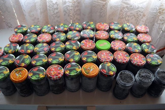 icre negre si zeci de kilograme de sturion descoperite la braconieri in judetul Constanta