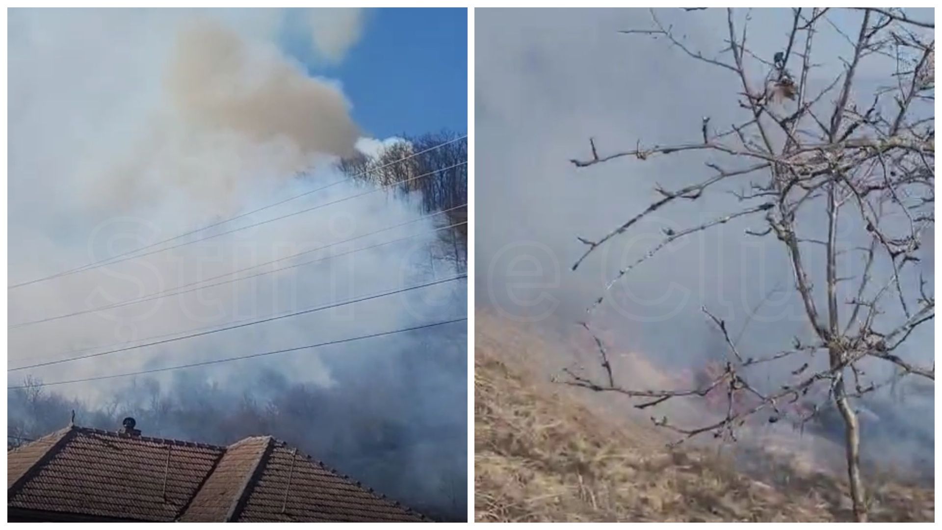 video inconstienta totala a dat foc pentru a si arde deseurile si a ajuns sa aprinda o padure in cluj de necrezut