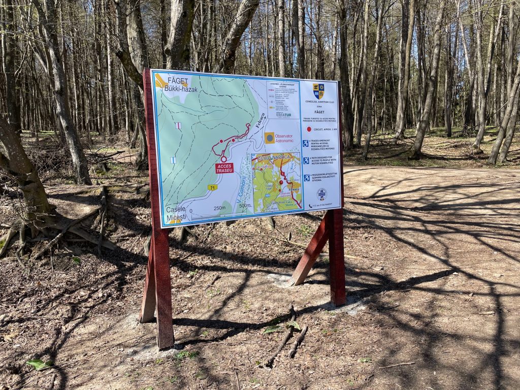 Clujenii cu dizabilitati de mobilitate pot in sfarsit sa se bucure de plimbari in Faget Primul traseu din regiune accesibil persoanelor cu handicap locomotor