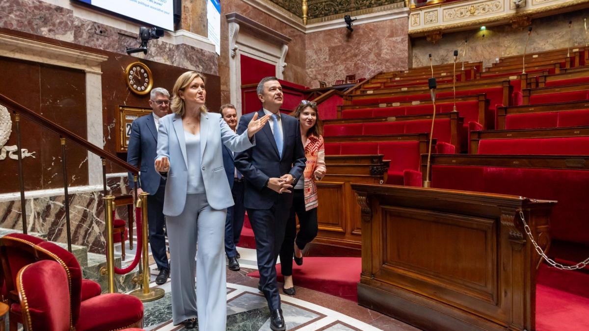 Declaratia lui Grindeanu dupa intoarcerea cu presedinta Adunarii Nationale a Frantei Imi doresc