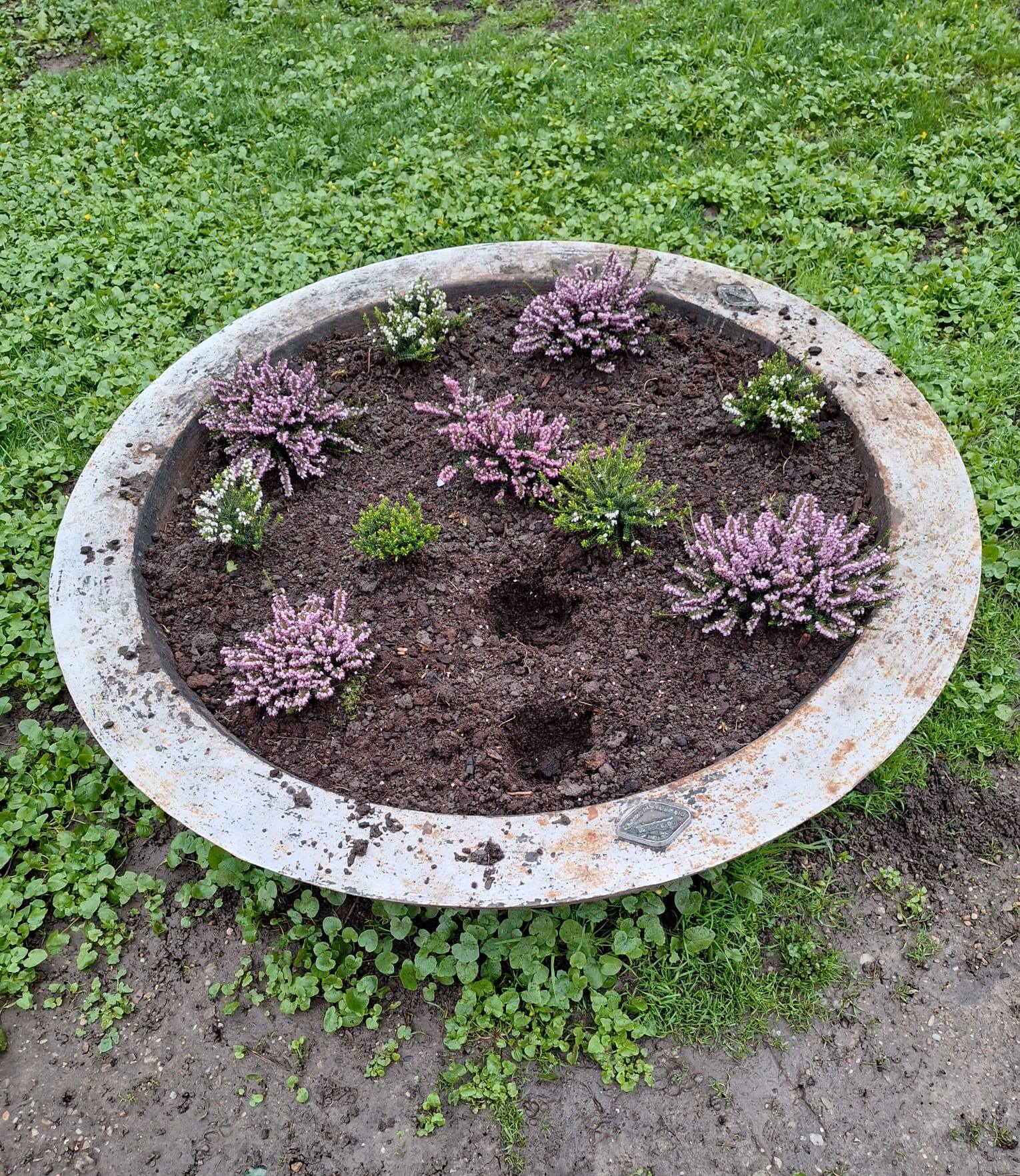 Florile din Parcul Cismigiu pazite de politisti locali Sute de flori au fost furate in doar cateva zile