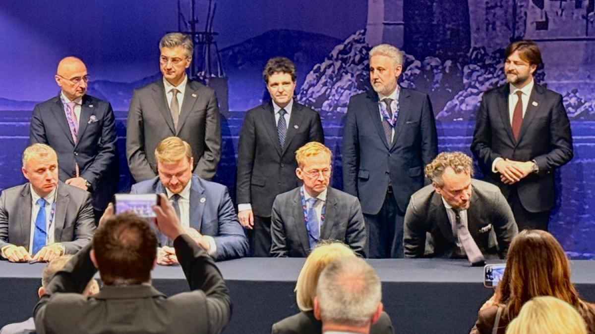 Nicusan Dan declara investitii semnificative dupa aderarea Romaniei la Fondul celor Trei Mari