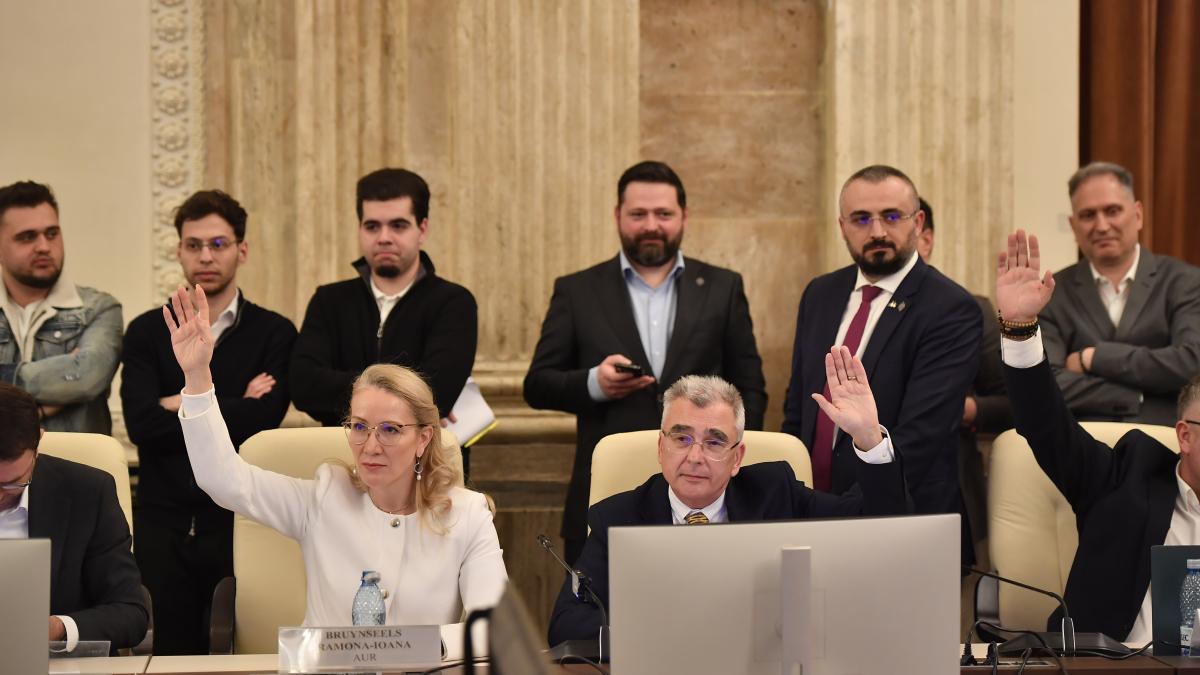 Un lider AUR admite ca a votat impotriva unor legi de securitate fara a le citi Daca