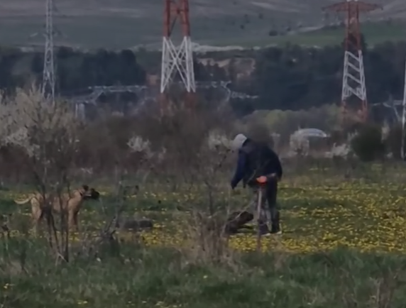 VIDEO Politia demareaza o ancheta dupa ce Stiri de Cluj a prezentat un clip cu un dresor care loveste repetat un catel Cercetarile sunt in curs de desfasurare