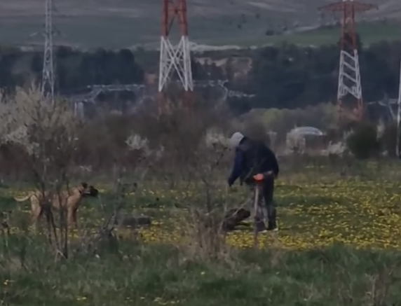 VIDEO Politia demareaza o ancheta dupa ce Stiri de Cluj a prezentat un clip cu un dresor care loveste repetat un catel Cercetarile sunt in curs de desfasurare