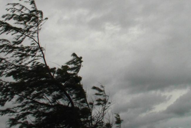 Vremea provoaca daune in Cluj Cod Galben de vant lapovita si ninsoare la munte Meteorologii anticipeaza trei zile friguroase pentru intreaga zona