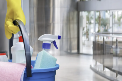 febracuratenieideprimavaraacuprinsclujulcerereademenajeresifirmespecializateacrescutcu57comparativculunilediarna