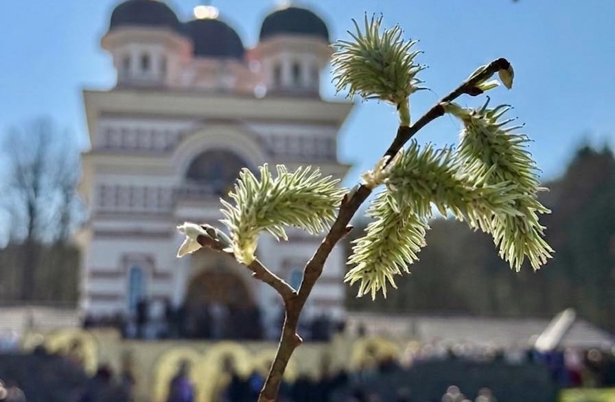 mesaj de la IPJ Cluj inainte de Paste O secunda de atentie poate face diferenta Ce le cere IPJ clujenilor in aceasta perioada