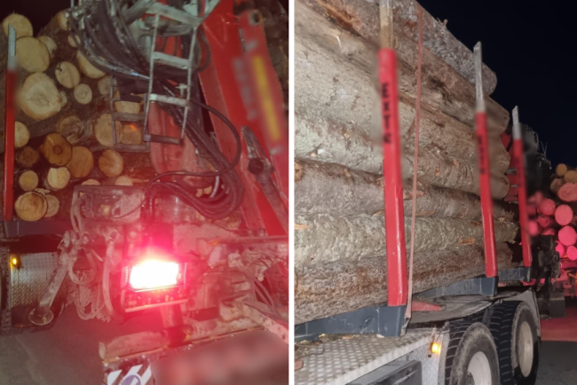video cadou de Paste pentru un sofer de TIR din Cluj amenda de 15000 de lei pentru depasirea limitei legale a lemnului transportat cu 15 tone