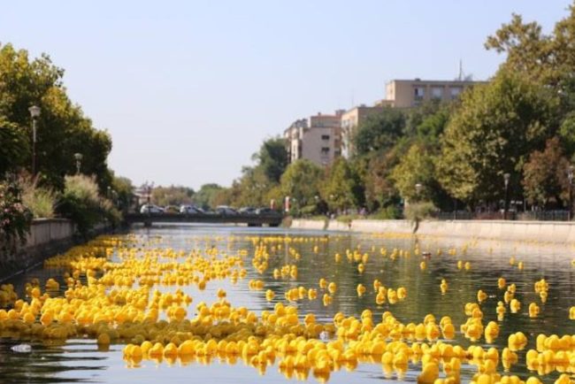 ziua copilului devine magica la cluj cursa ratus telorum de la podul rozelor revine cu cea de a 6 a editie plina de surprize cum te poti inscrie