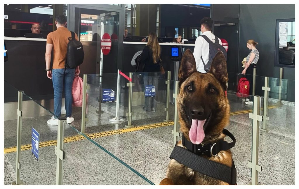 Noul angajat de la Aeroportul International Avram Iancu Cluj a castigat popularitate Attentie pasageri