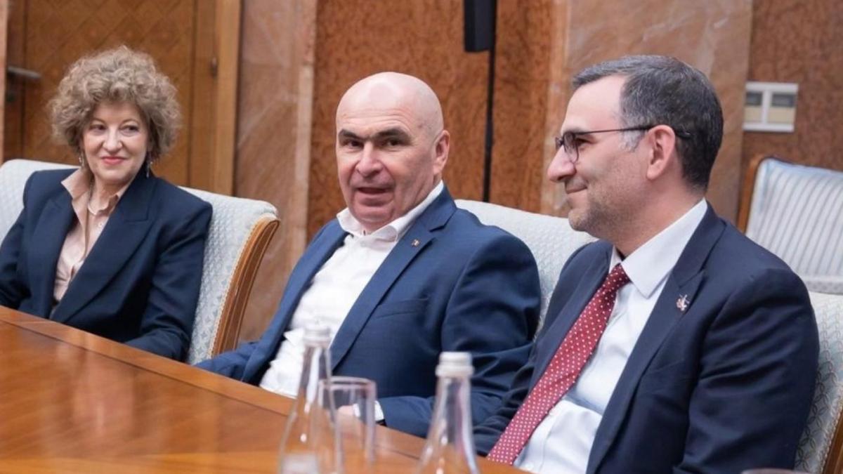O firma de avocatura din Germania unde activeaza consilierul Oanei Gheorghiu ar fi incasat fonduri pentru