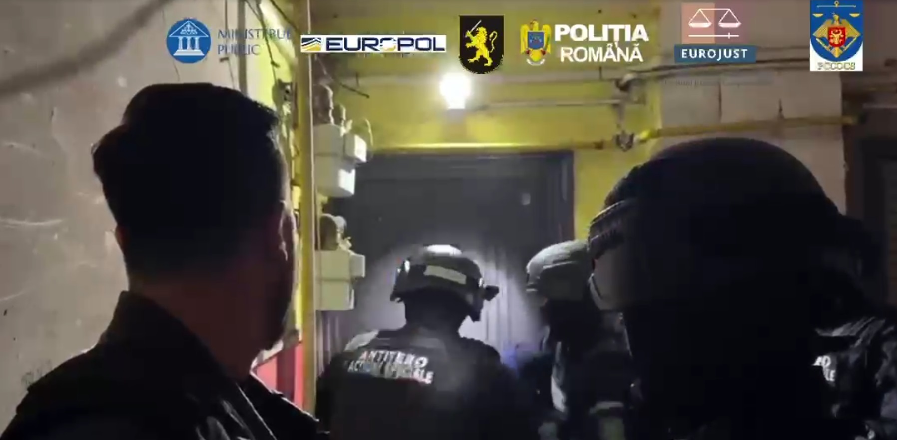Perchezitii in Romania si Republica Moldova intr o ampla frauda cu suplimente miraculoase si investitii fictive