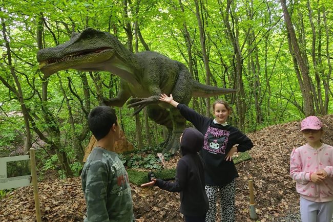Peste 200 de copii din sistemul de protectie au trait o zi memorabila la Cluj Tiroliana Dino Park concerte si surprize de 1 Iunie