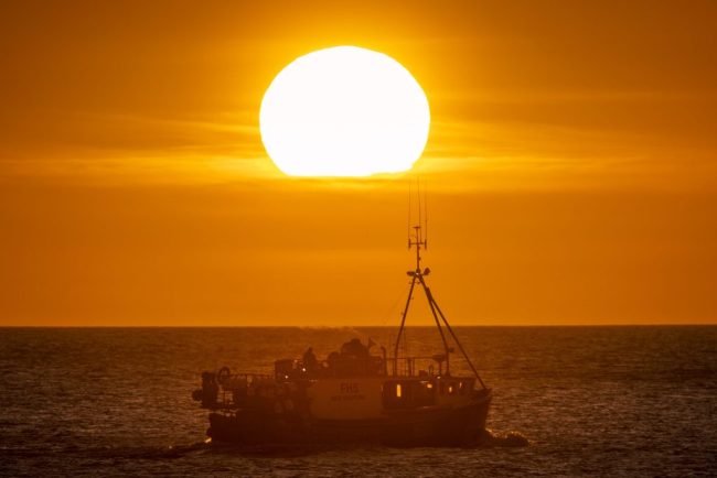 Poluare toxicain Marea Britanie chimicalele etern au contaminat ecosistemul marin