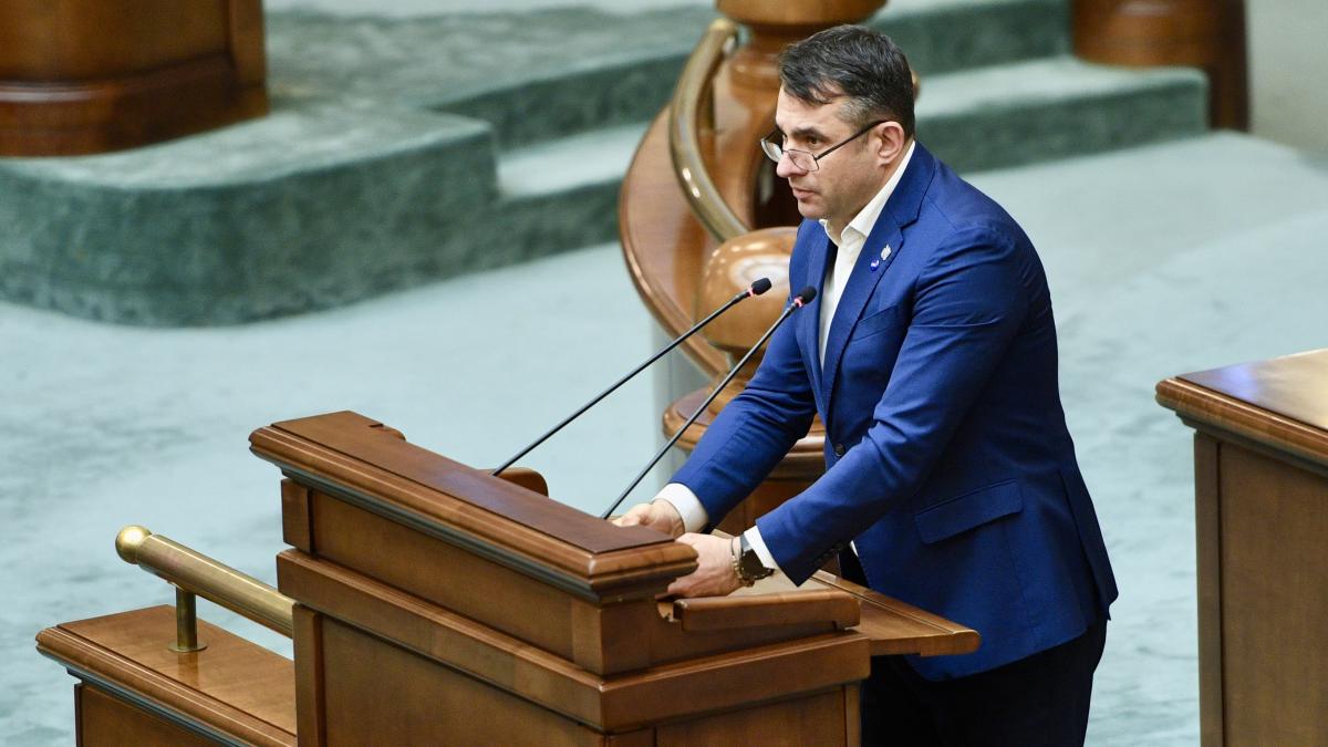 Senatorul USR Stefan Palarie acuza PSD ca sabotajul institutiilor Cand nu isi