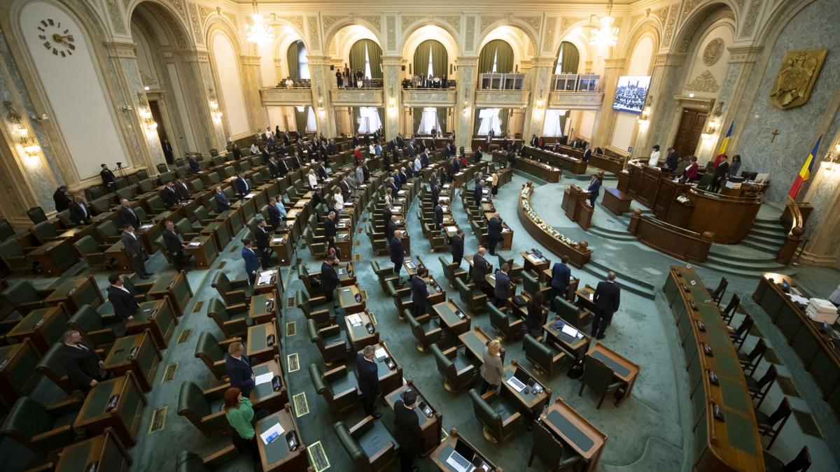 Senatul impune ONG urilor sa si faca publice sursele de finantare Proiectul AUR a fost aprobat de plen