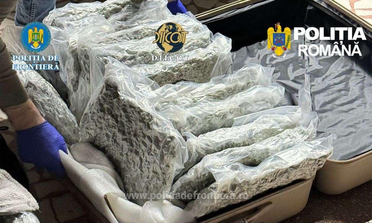 Tanar cu dubla cetatenie retinut dupa ce a fost prins cu 11 kilograme de canabis destinate vanzarii pe litoral