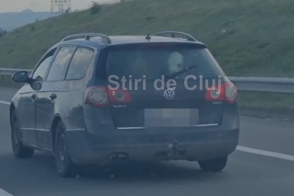 VIDEO. Cât de mare este grădina ta! Doi viței „de companie” plimbați cu mașina pe A10 între Turda și Aiud: „Cum mirosea oare dacă micuții au avut o «urgență»?”