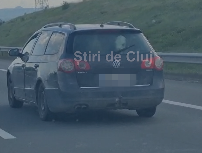 VIDEO Cat de mare este gradina ta Doi vitei de companie plimbati cu masina pe A10 intre Turda si Aiud Cum mirosea oare daca micutii au avut o urgenta