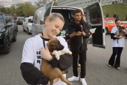 VIDEO. Jucătorii de la U Cluj au pătruns pe teren alături de câini de la adăpost! Primăria lansează o campanie inedită de adopție în Cluj-Napoca