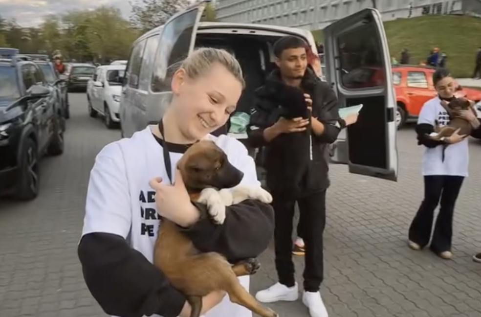 VIDEO Jucatorii de la U Cluj au patruns pe terren alaturi de caini de la adapost Primaria lanseaza o campanie inedita de adoptie in Cluj Napoca